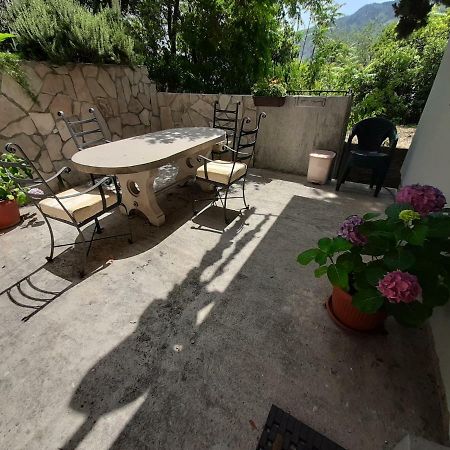 Studio Jeff 1 Apartment Kotor Exterior photo
