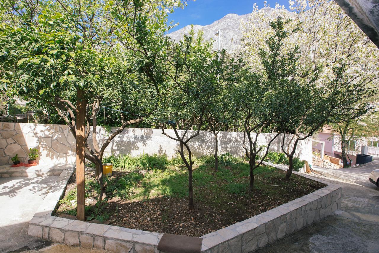 Studio Jeff 1 Apartment Kotor Exterior photo