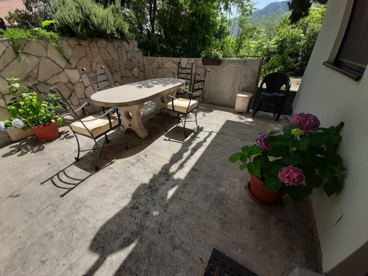 Studio Jeff 1 Apartment Kotor Exterior photo